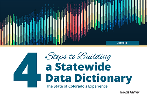 eBook Thumbnail - Building a Statewide Data Dictionary